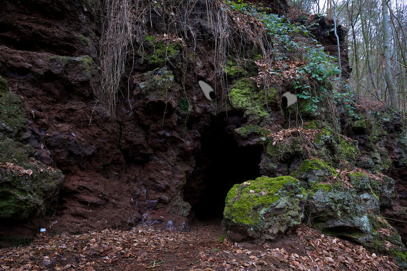 Höhle mit Augen